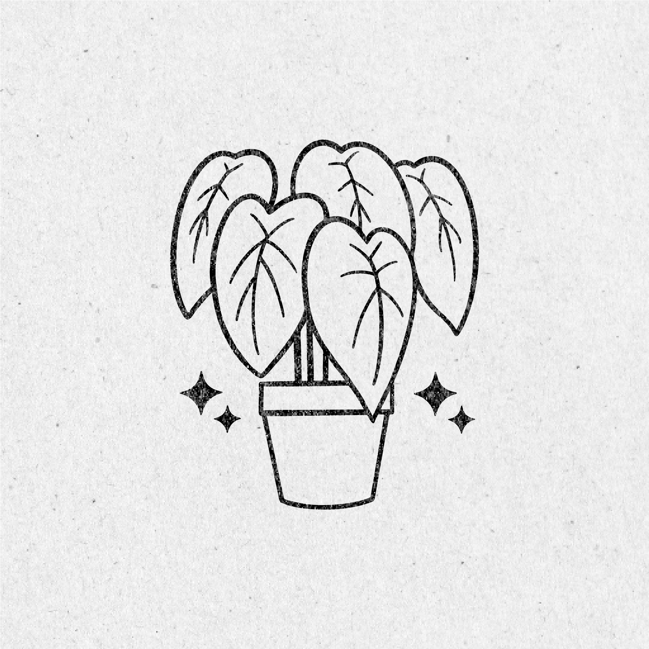 Mystical Forrest Clip