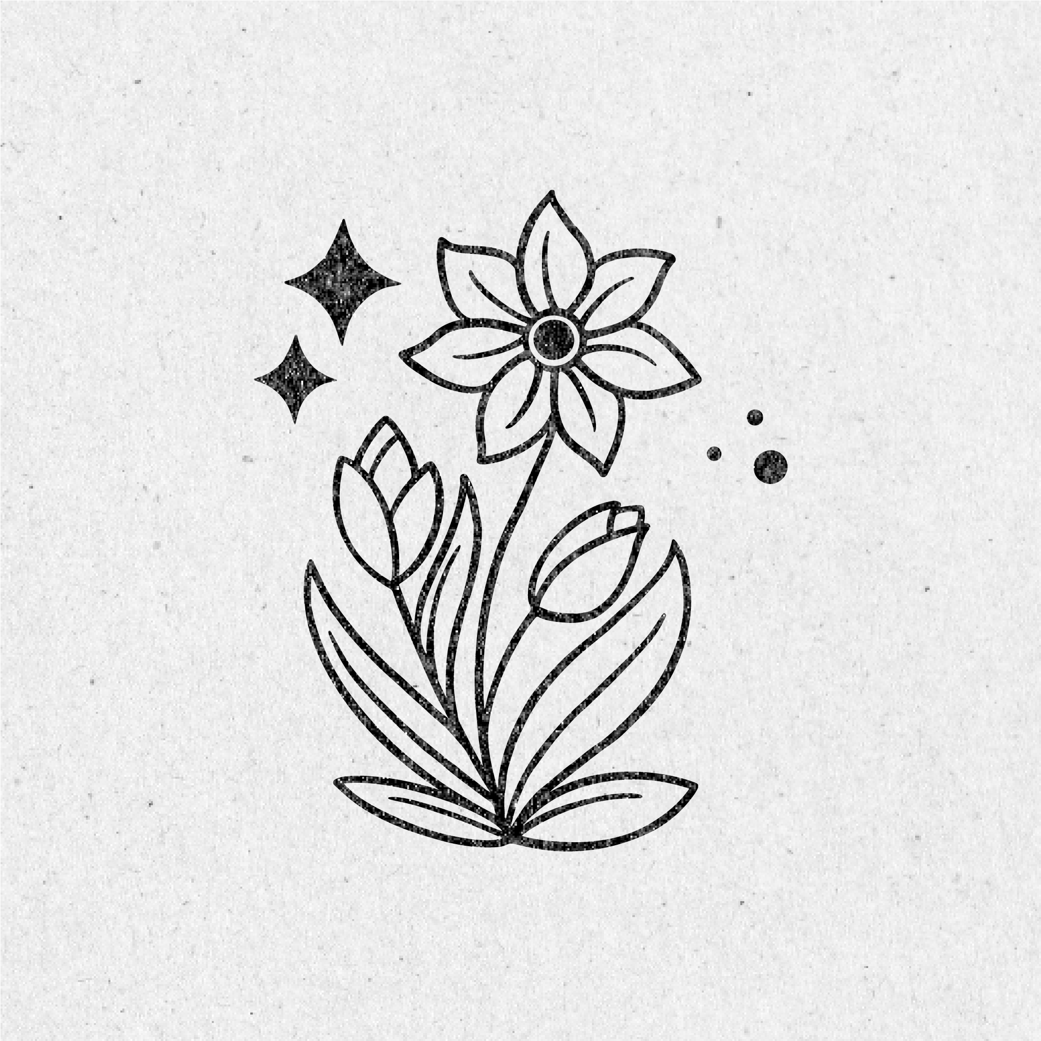 Mystical Forrest Clip