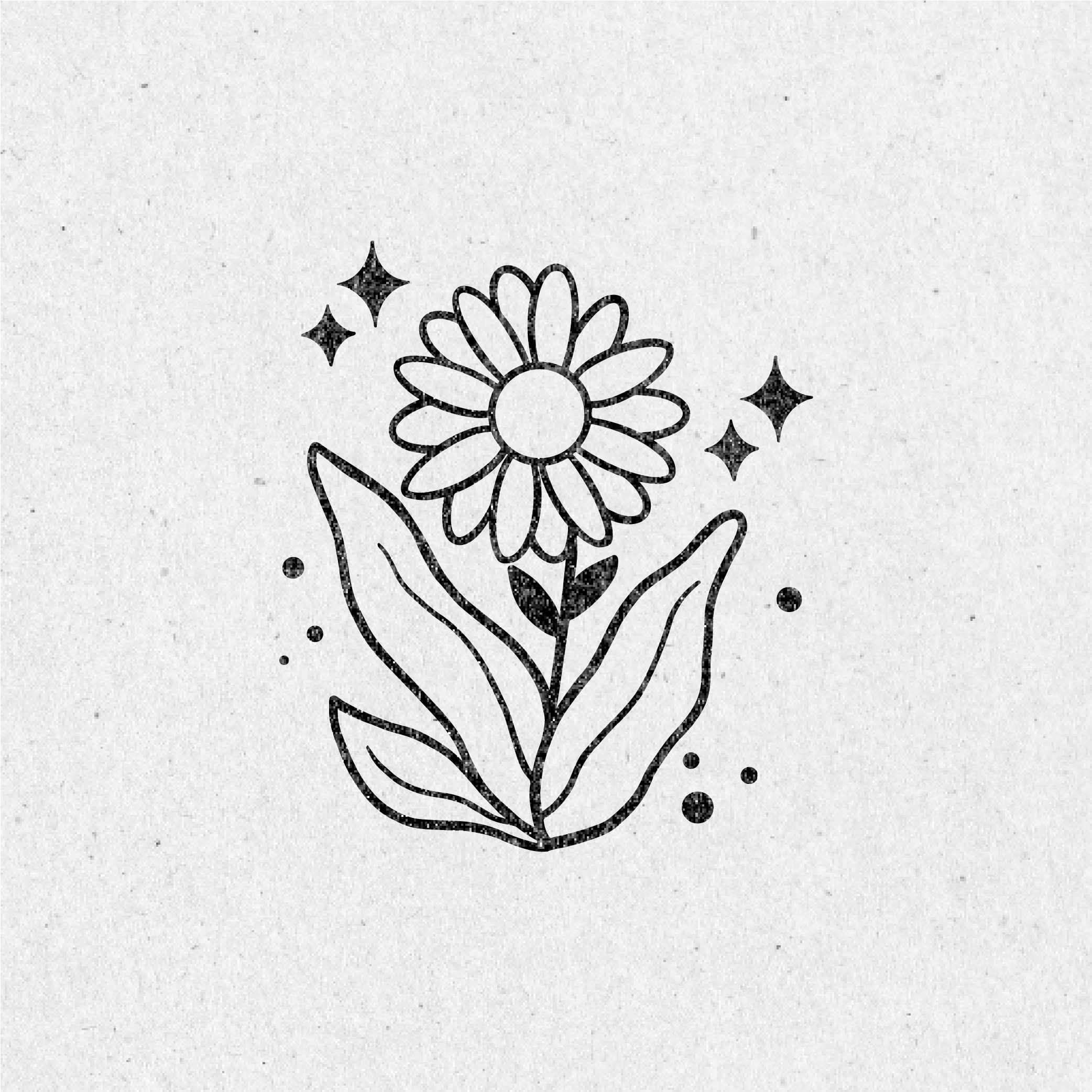 Mystical Forrest Clip