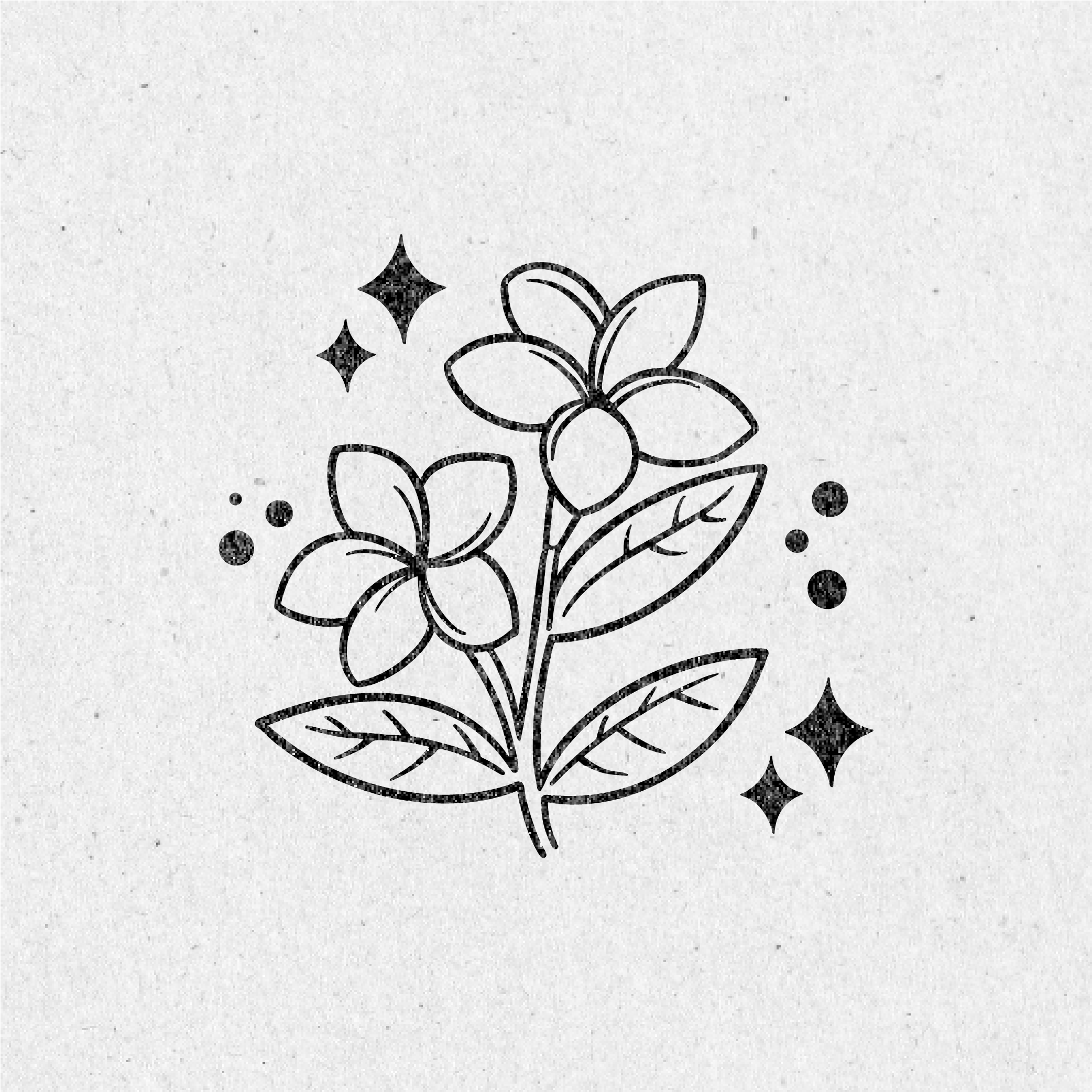 Mystical Forrest Clip