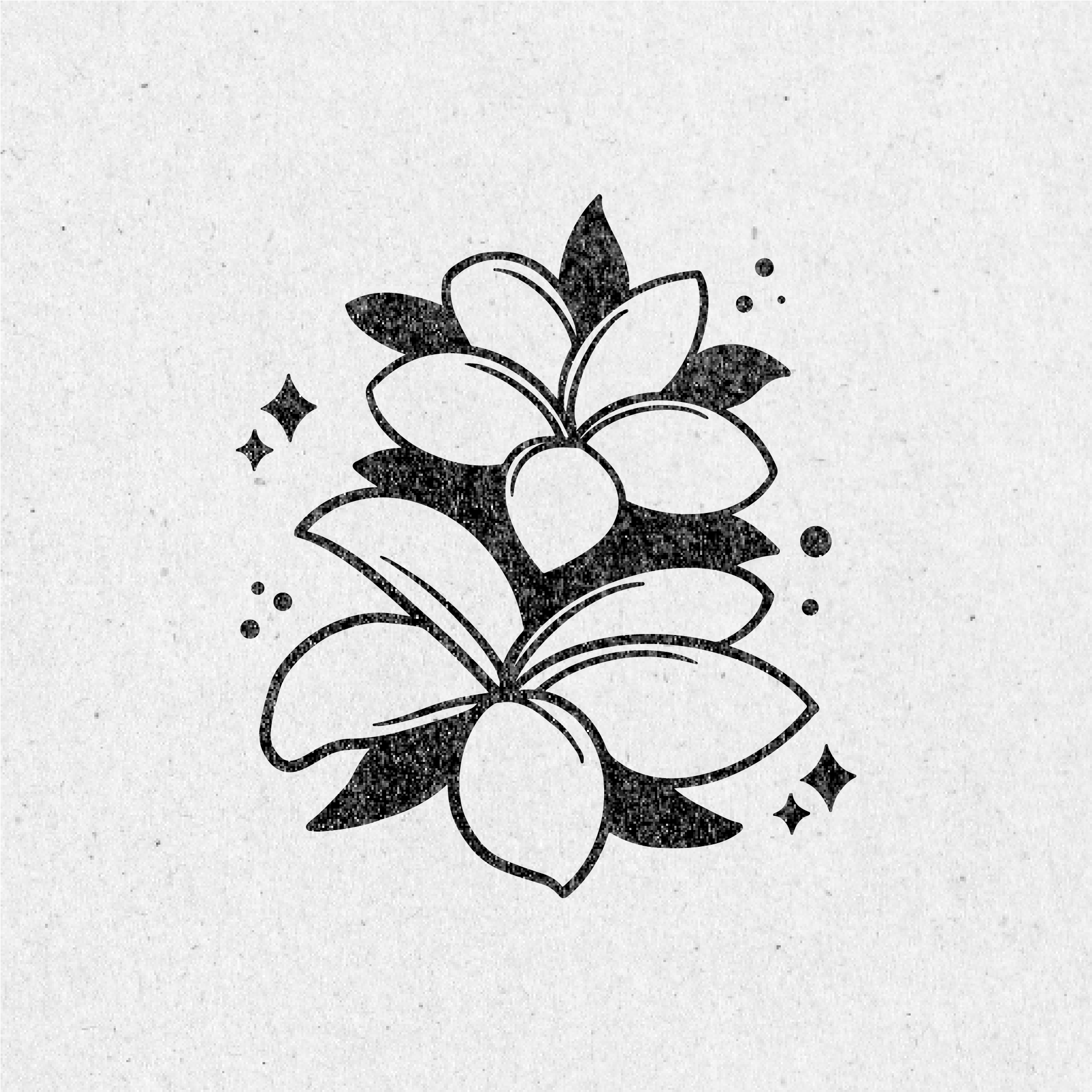 Mystical Forrest Clip