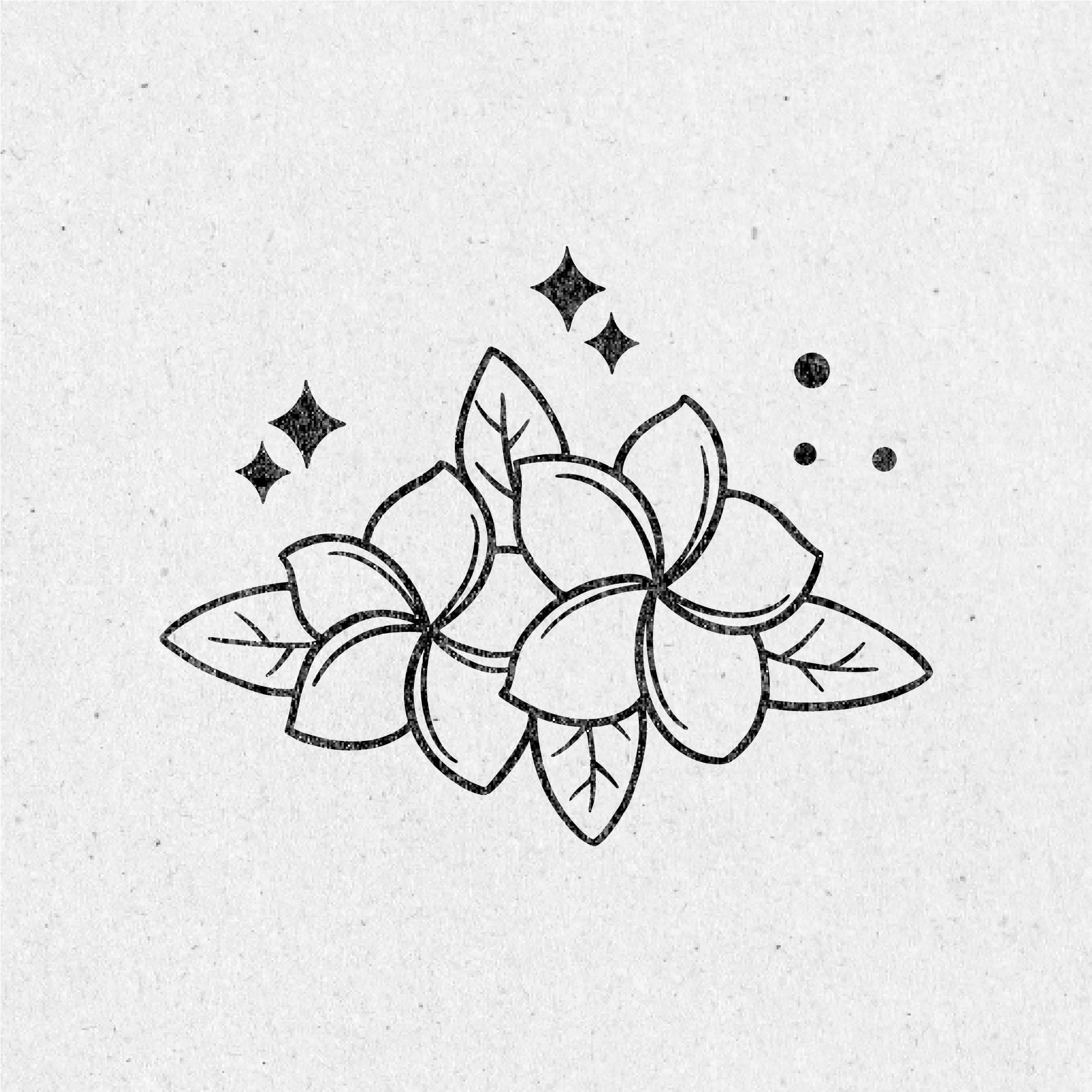 Mystical Forrest Clip