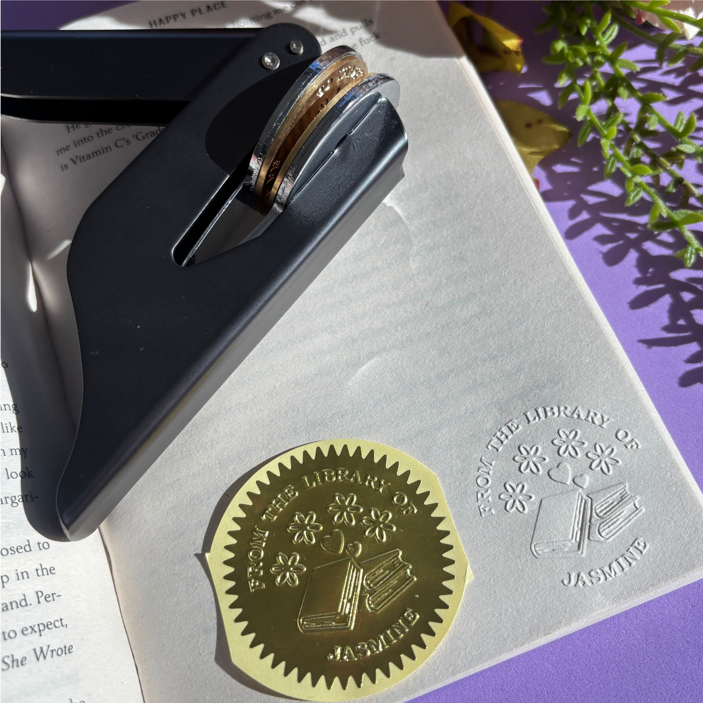 Mystical Forrest Clip